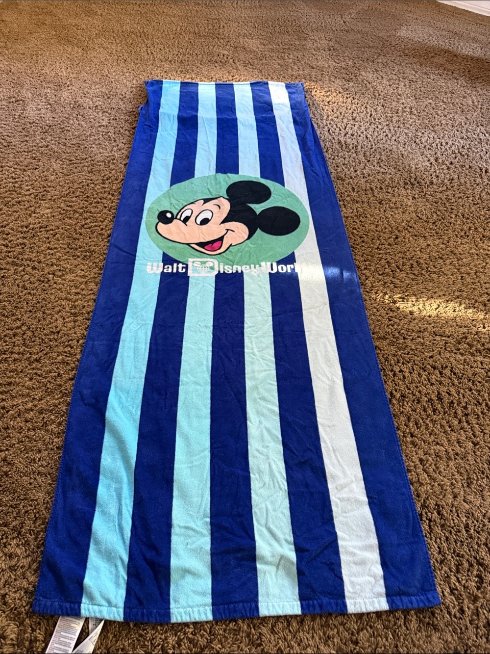 Disney Blue Striped Mickey Mouse Swim Towel